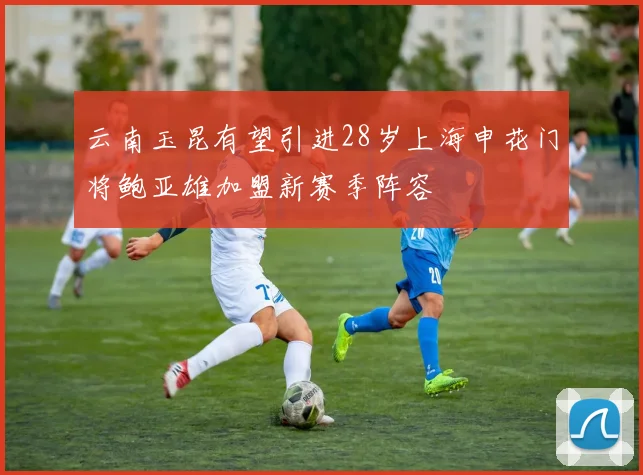 云南玉昆有望引进28岁上海申花门将鲍亚雄加盟新赛季阵容