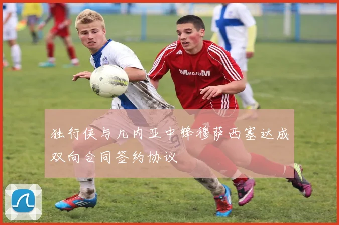 独行侠与几内亚中锋穆萨西塞达成双向合同签约协议
