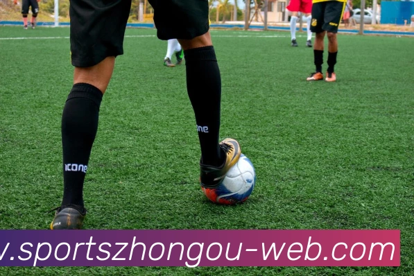 中欧体育品牌故事