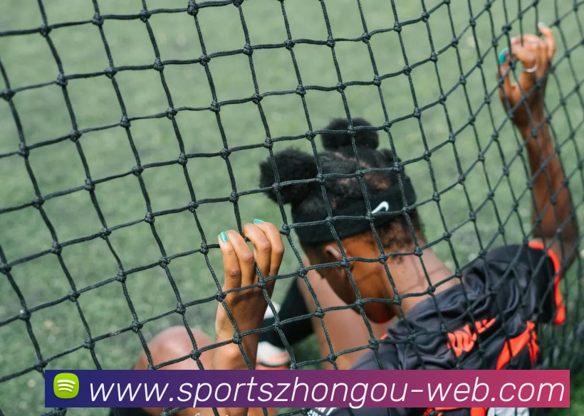 中欧体育服务体系